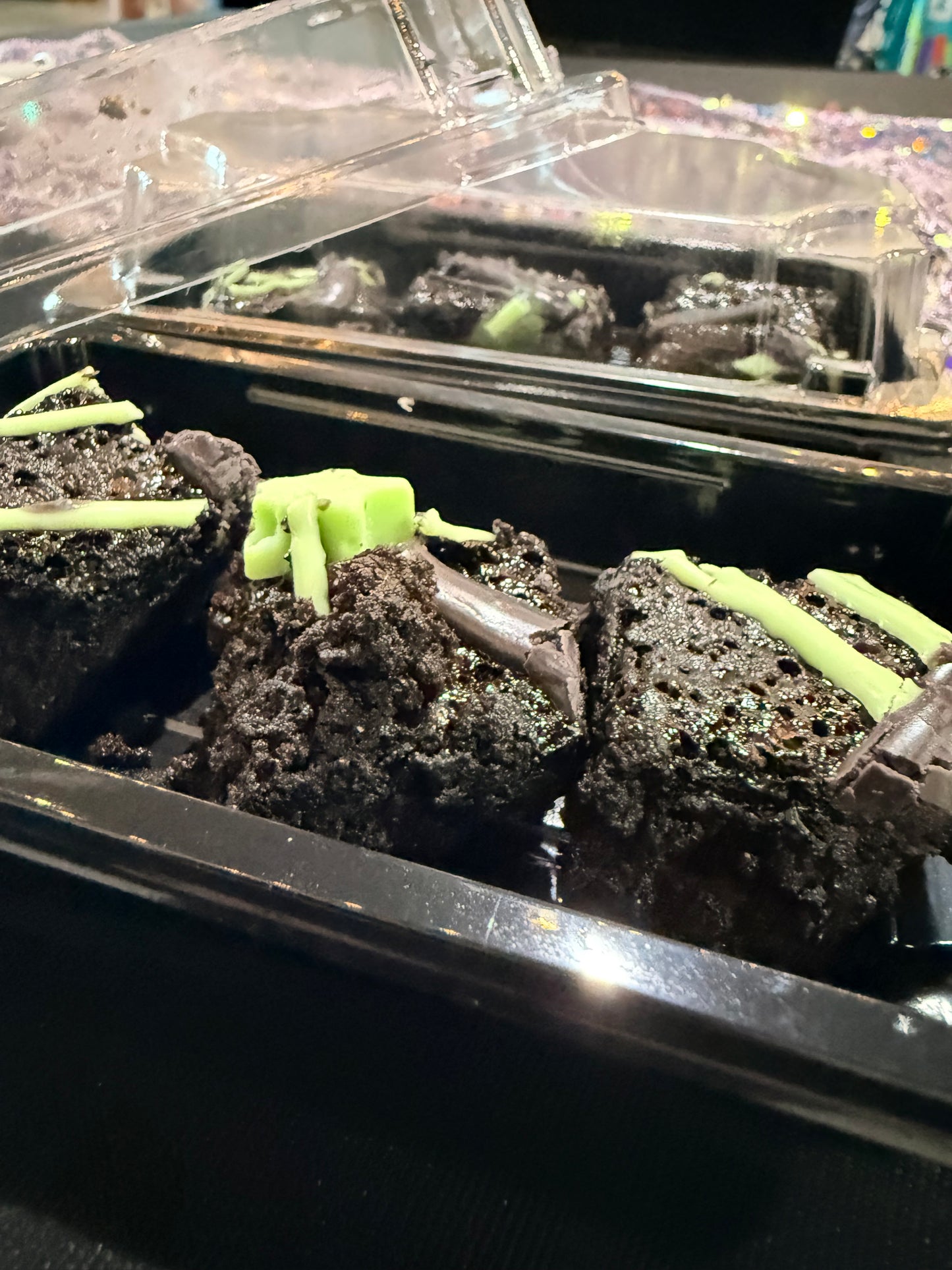 Midnight Magic Brownies
